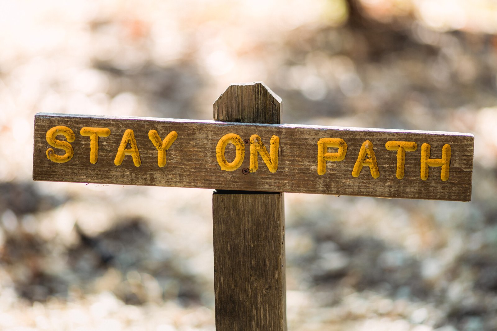 Faith Over Fear: Trusting God With Your New Year Plans